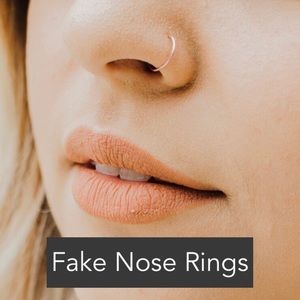 Fake Nose Rings
